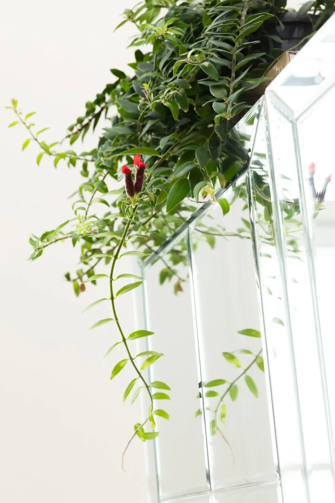 Barskåp Luxury - Spegelglas - KARE Design