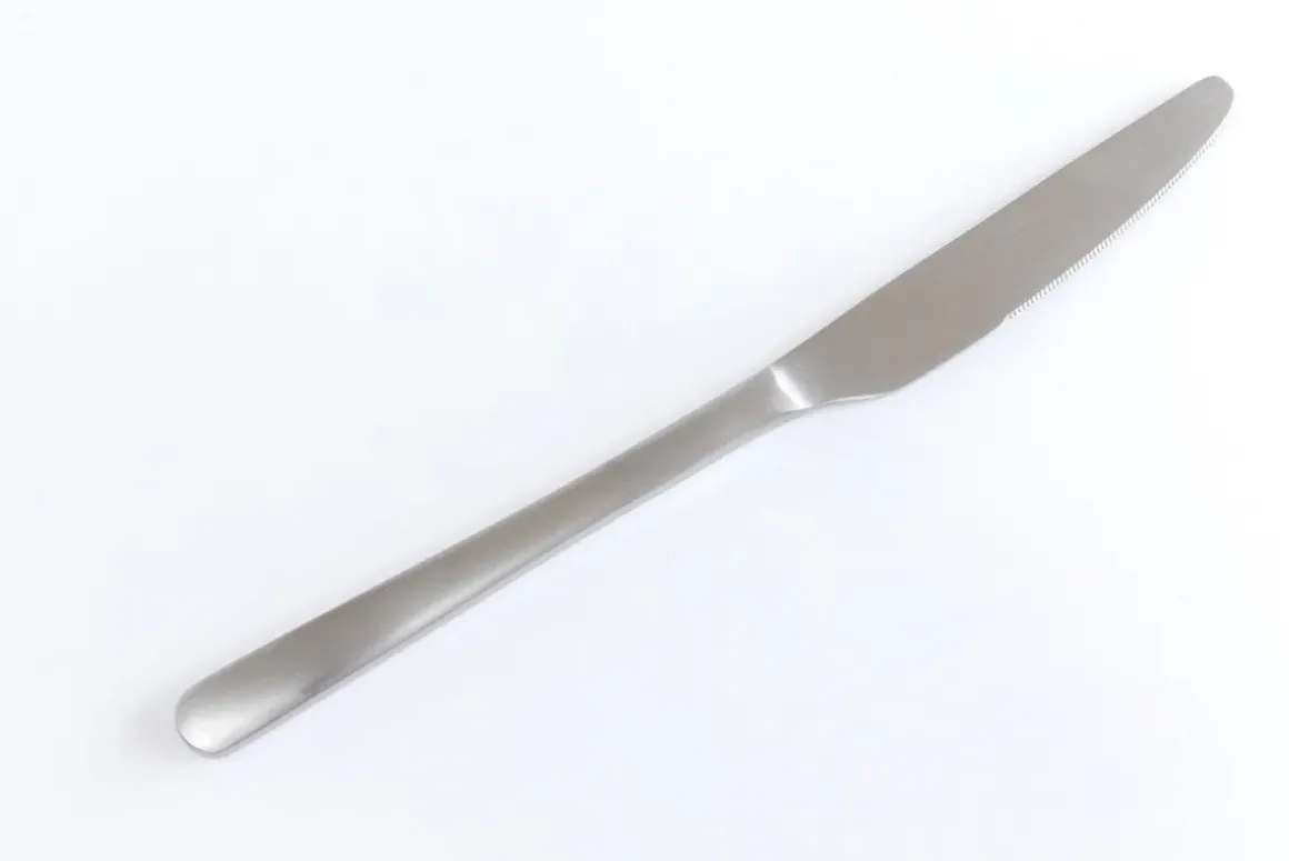 Bestick Gloria Matt Silver (16-part) - KARE Design