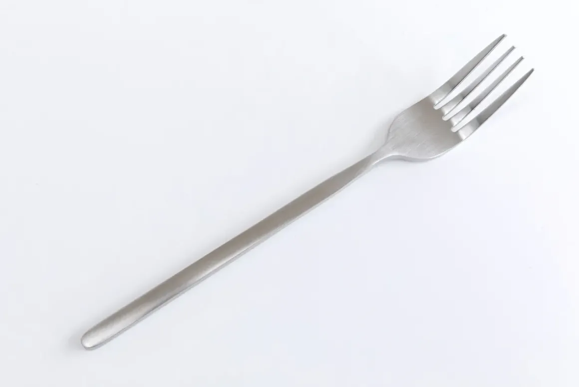 Bestick Gloria Matt Silver (16-part) - KARE Design