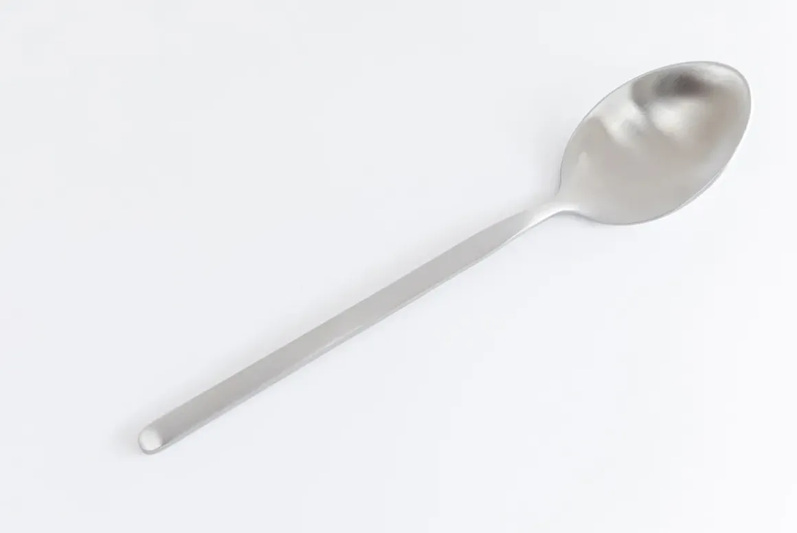 Bestick Gloria Matt Silver (16-part) - KARE Design