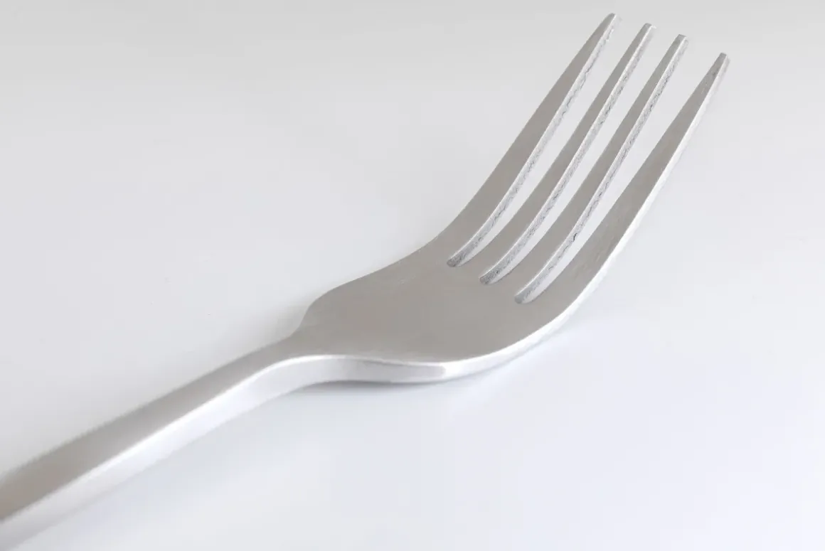 Bestick Gloria Matt Silver (16-part) - KARE Design