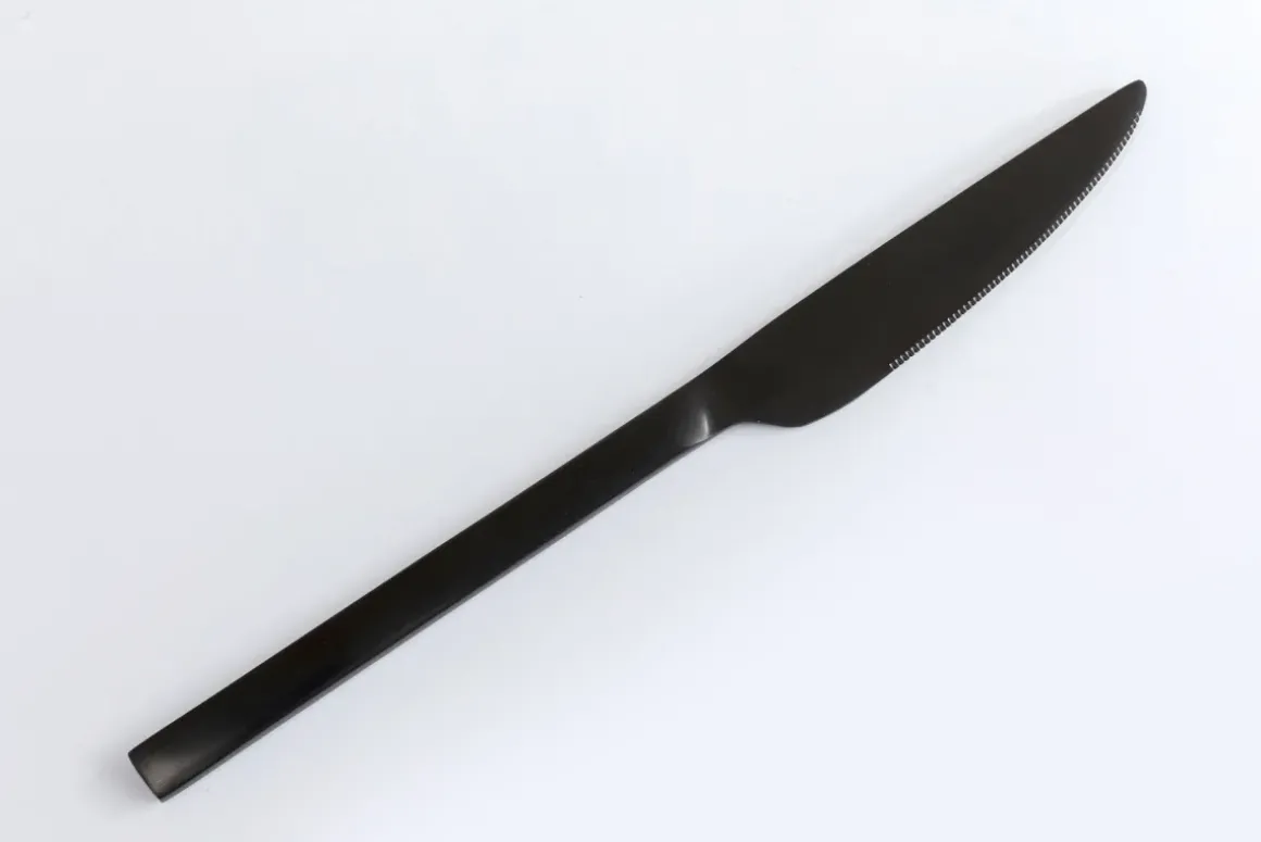 Bestick Gloria Matt Svart (16-part) - KARE Design