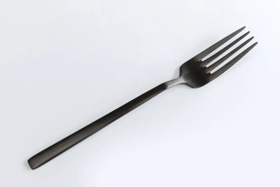 Bestick Gloria Matt Svart (16-part) - KARE Design