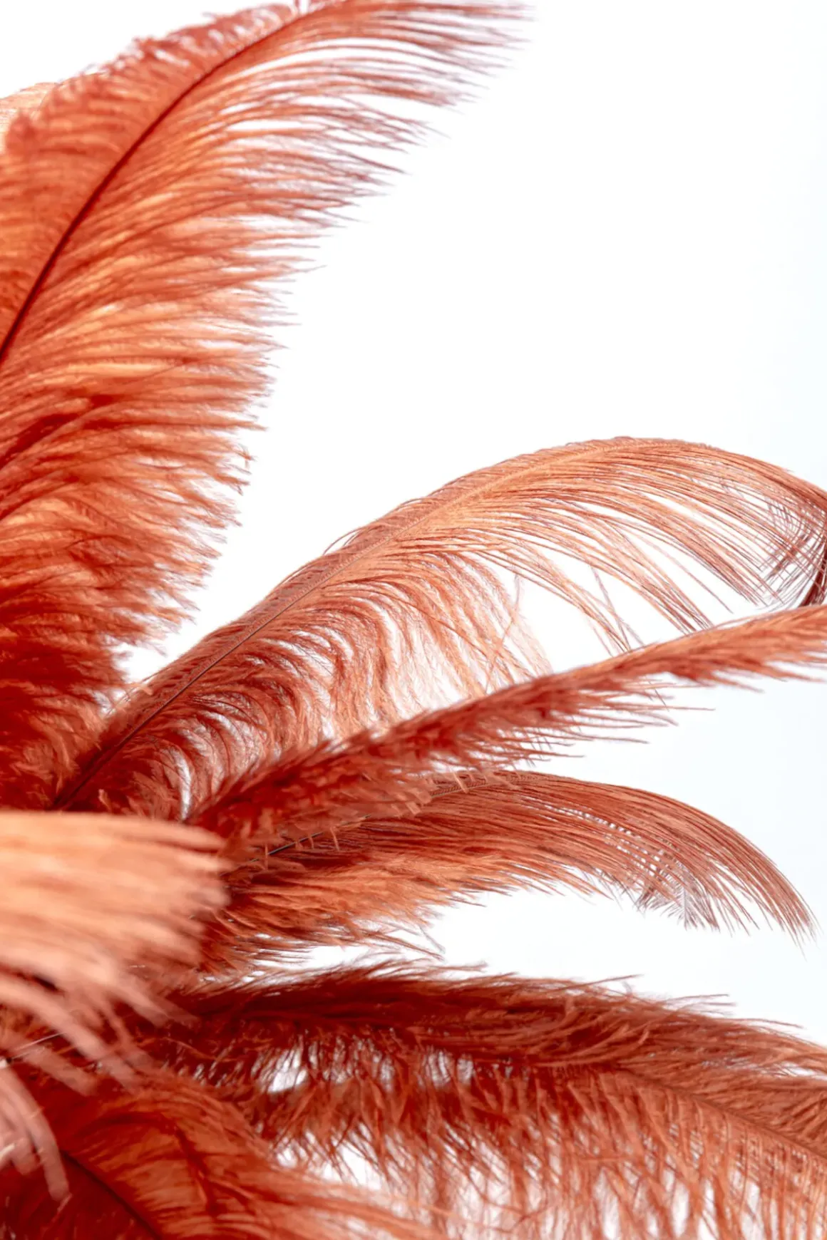 Bordslampa Feather Palm - Roströd, 60cm - KARE Design