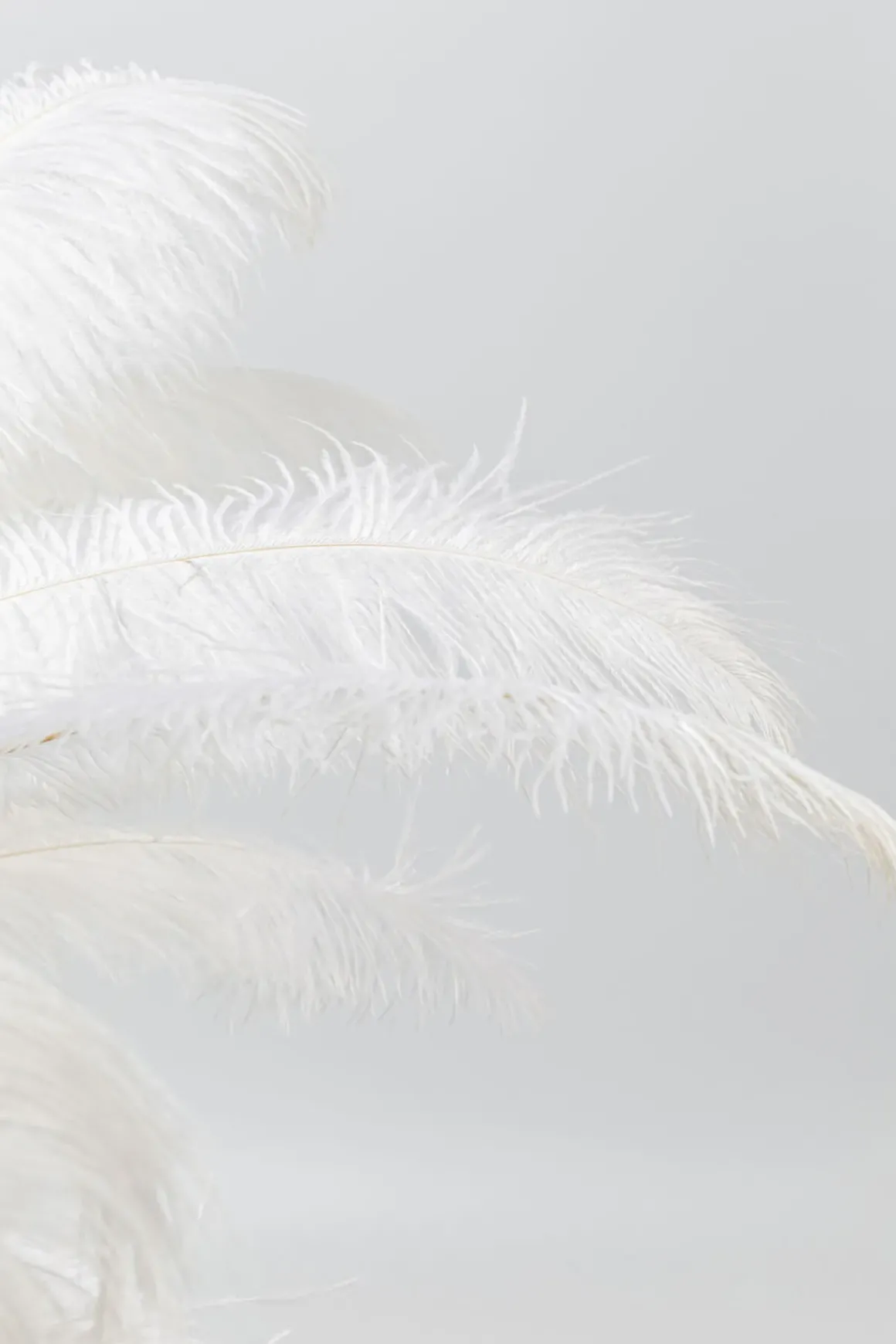 Bordslampa Feather Palm - Vit, 60cm - KARE Design