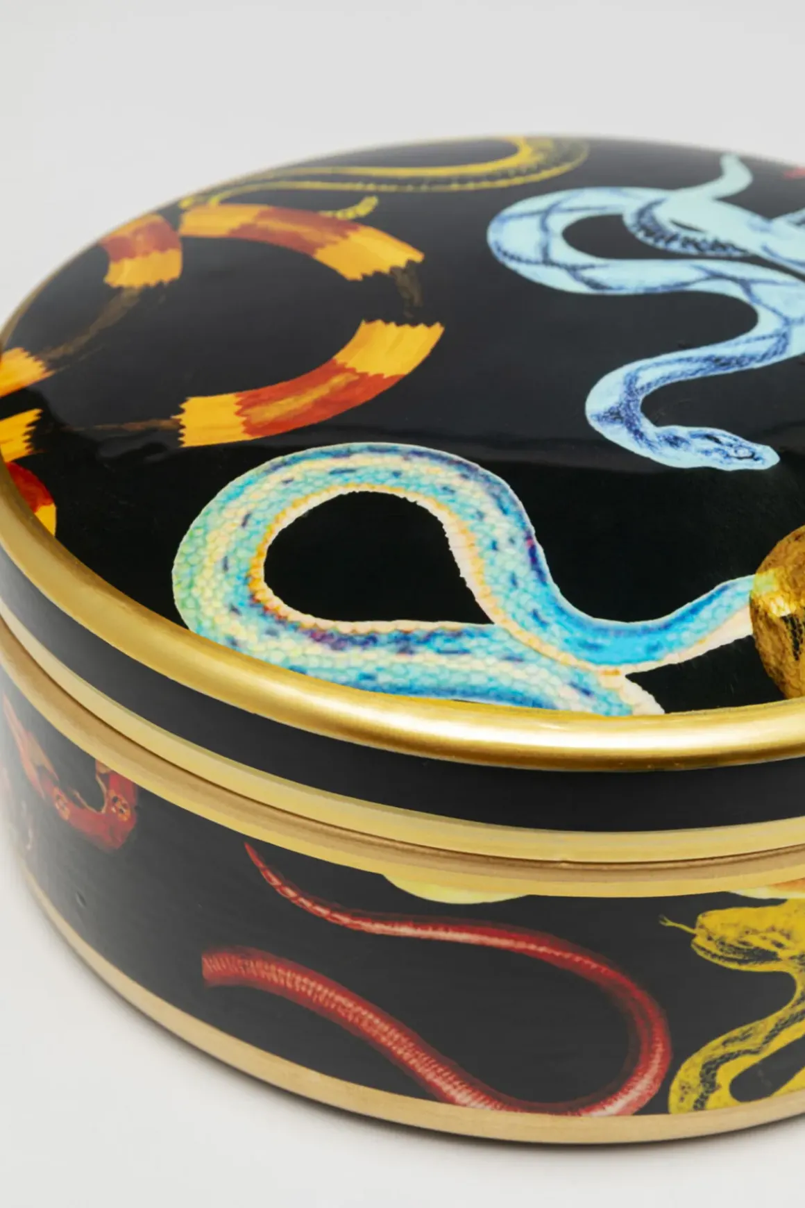 Dekor Burk Snake Party, Ø19cm - KARE Design