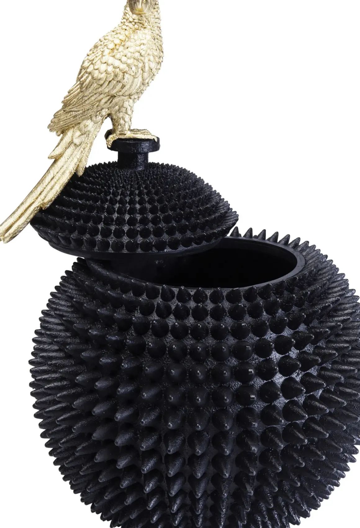 Dekor Skrin Parrot - KARE Design