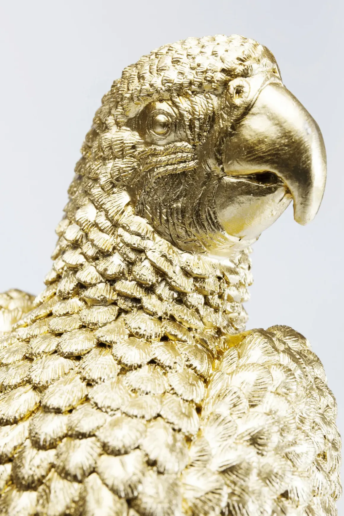 Dekor Skrin Parrot - KARE Design