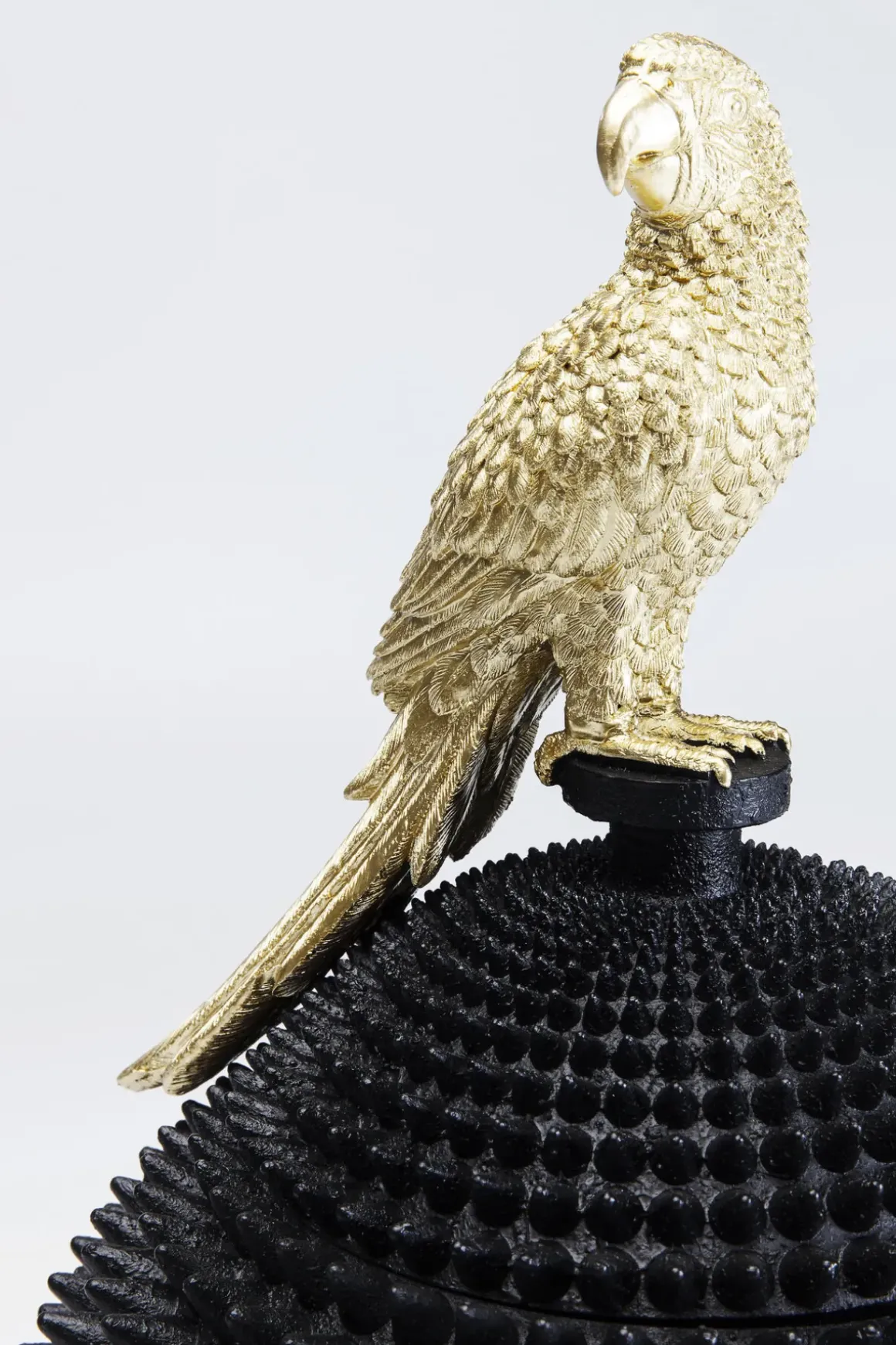 Dekor Skrin Parrot - KARE Design
