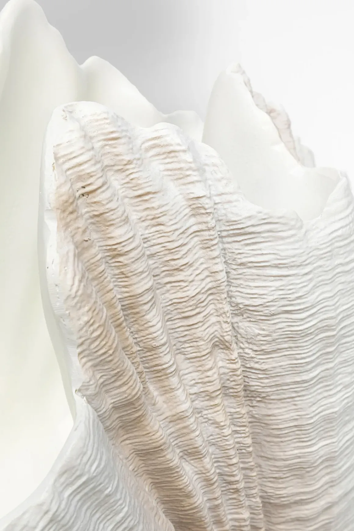 Dekor Vas Concha, 57cm - KARE Design