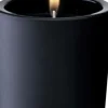 Doftljus Black & Wild - Svart, 12cm - KARE Design