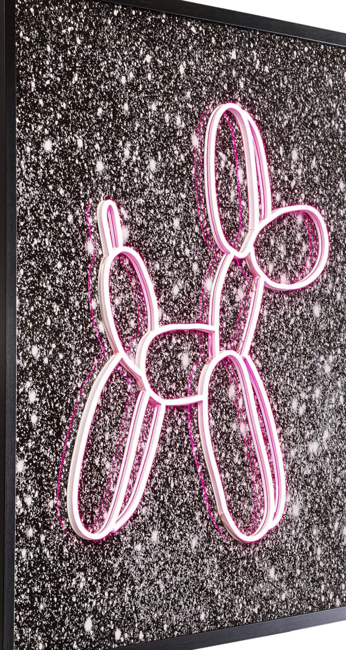 Glastavla LED Balloon Dog, 80x80cm - KARE Design