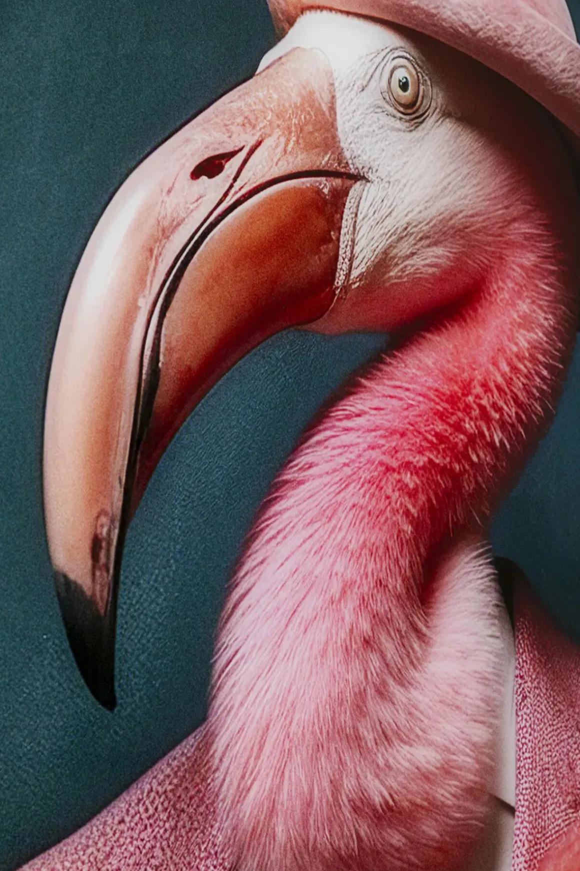 Glastavla Mister Flamingo, 120x160cm - KARE Design