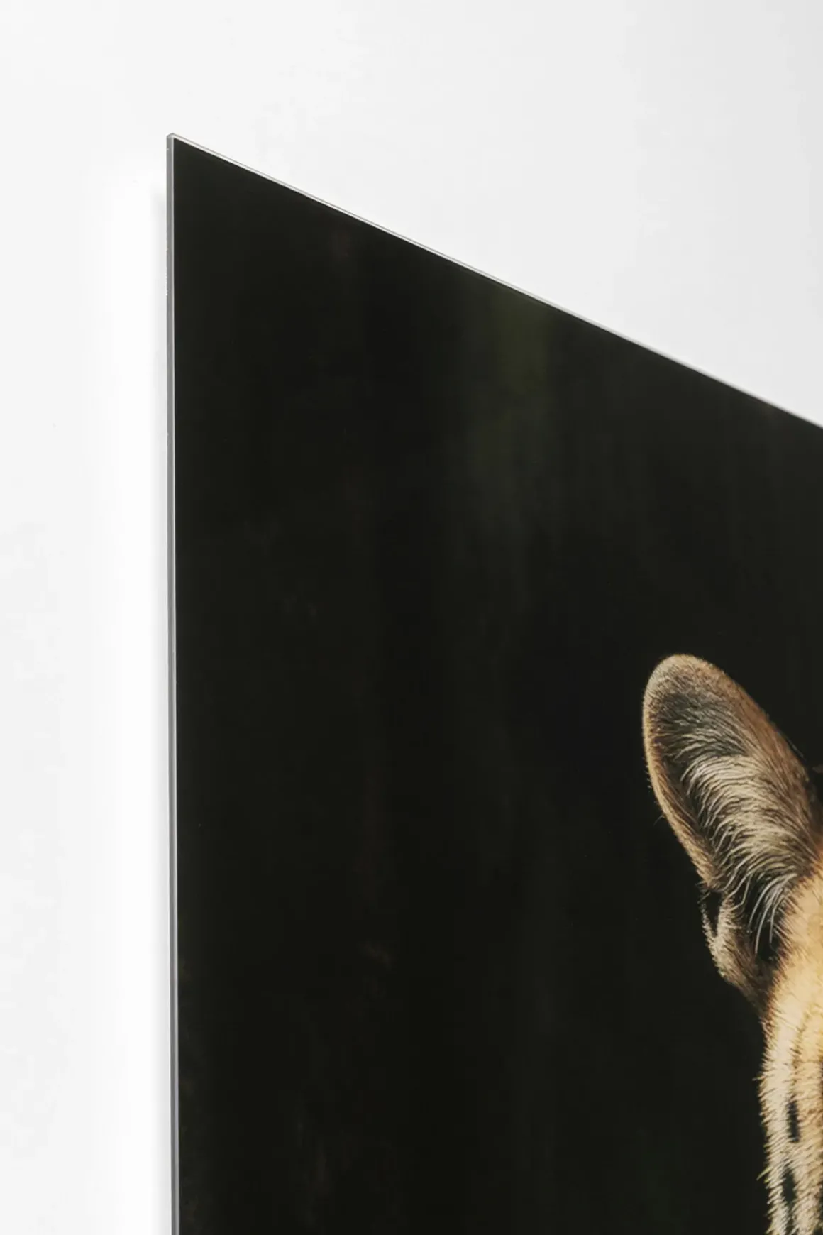Glastavla Mister Leo, 100x150cm - KARE Design