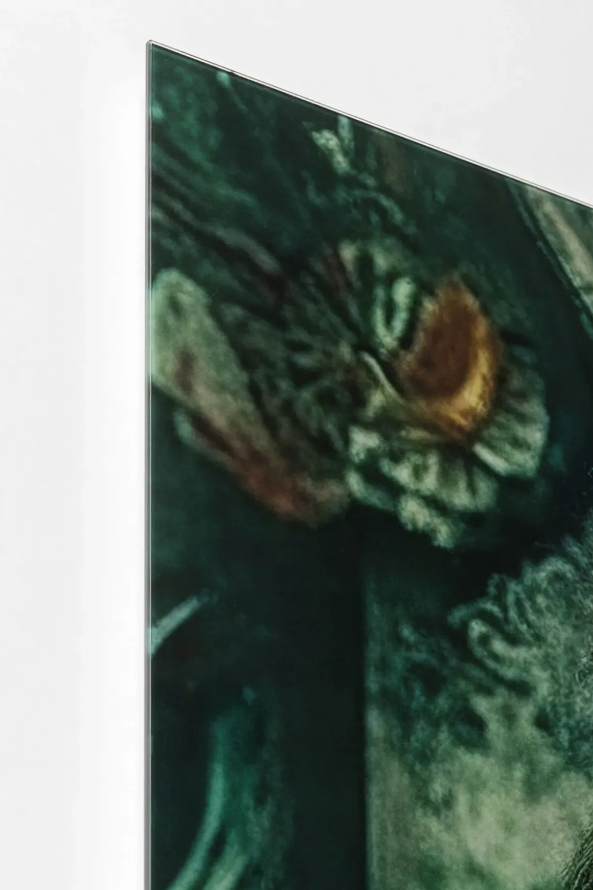 Glastavla Mister Lion, 150x100cm - KARE Design