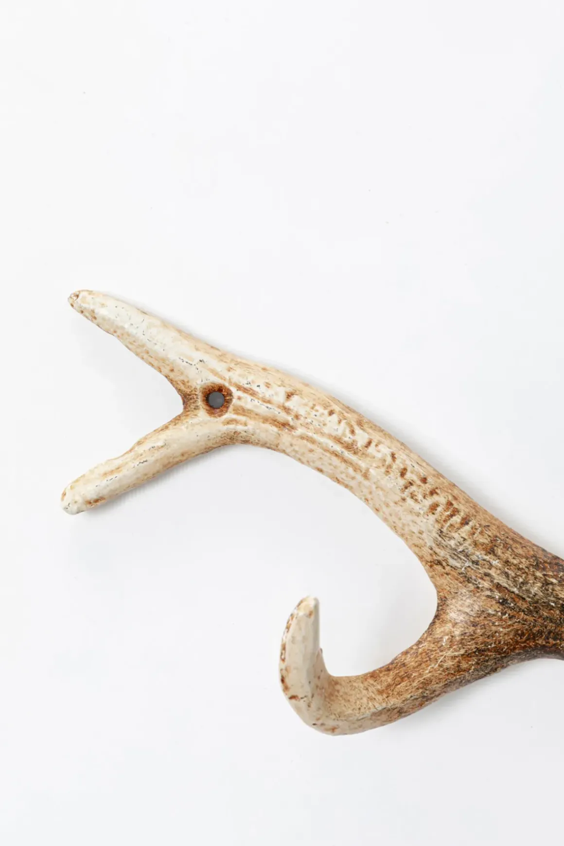 Hängare Antler - Horn, Natur, Lackerat Stål, 35cm - KARE Design