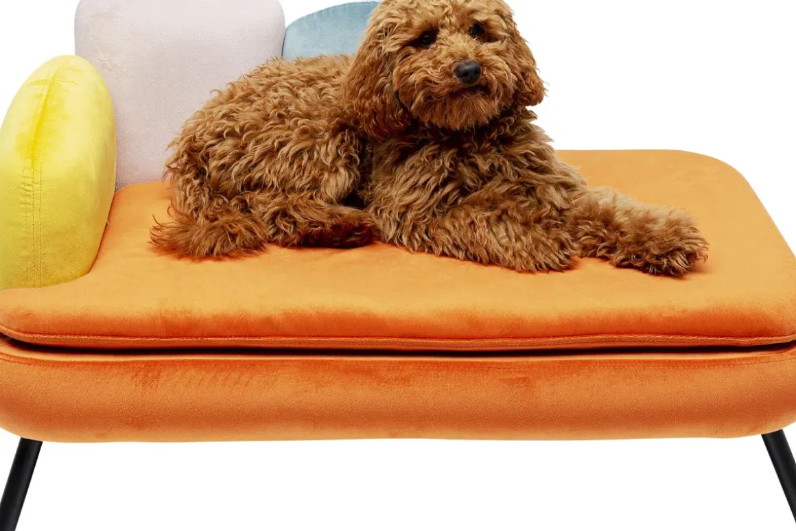 Hundbädd/Kattbädd Diva - Orange - KARE Design