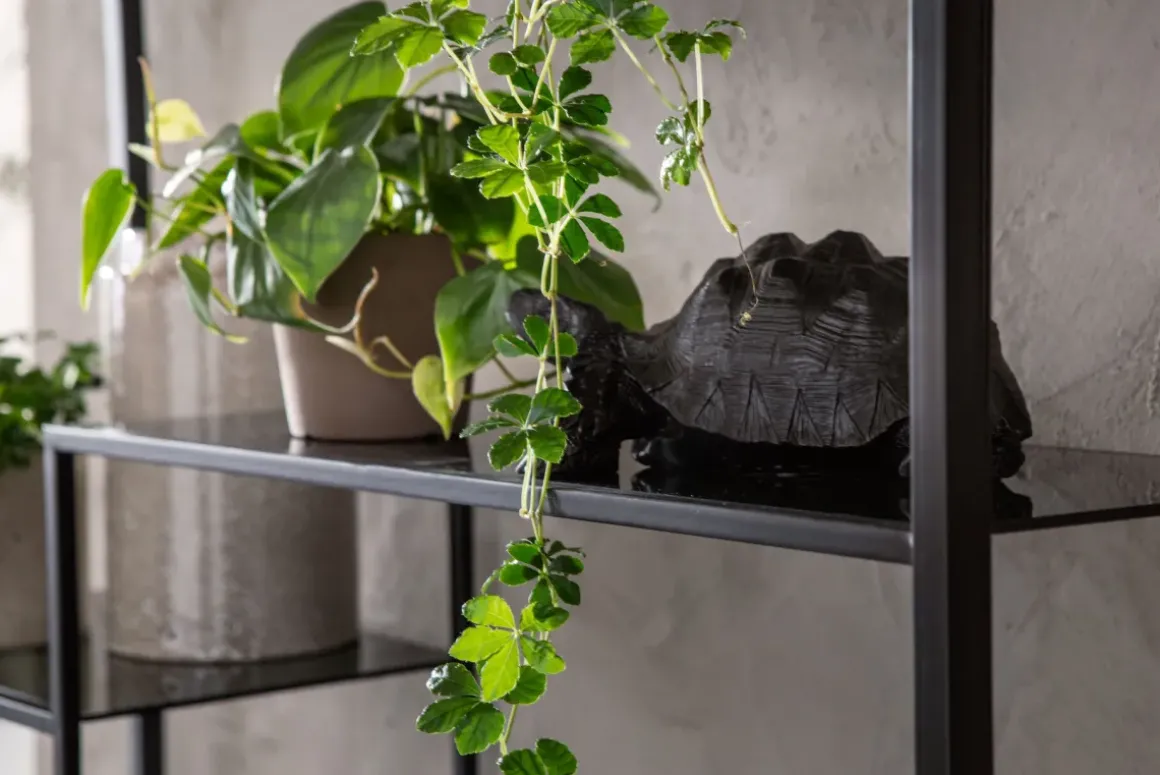 Hylla Loft - Öppen Bokylla i Svart, 195x115cm - KARE Design