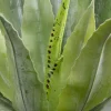 Konstväxt Agave - 40cm - KARE Design