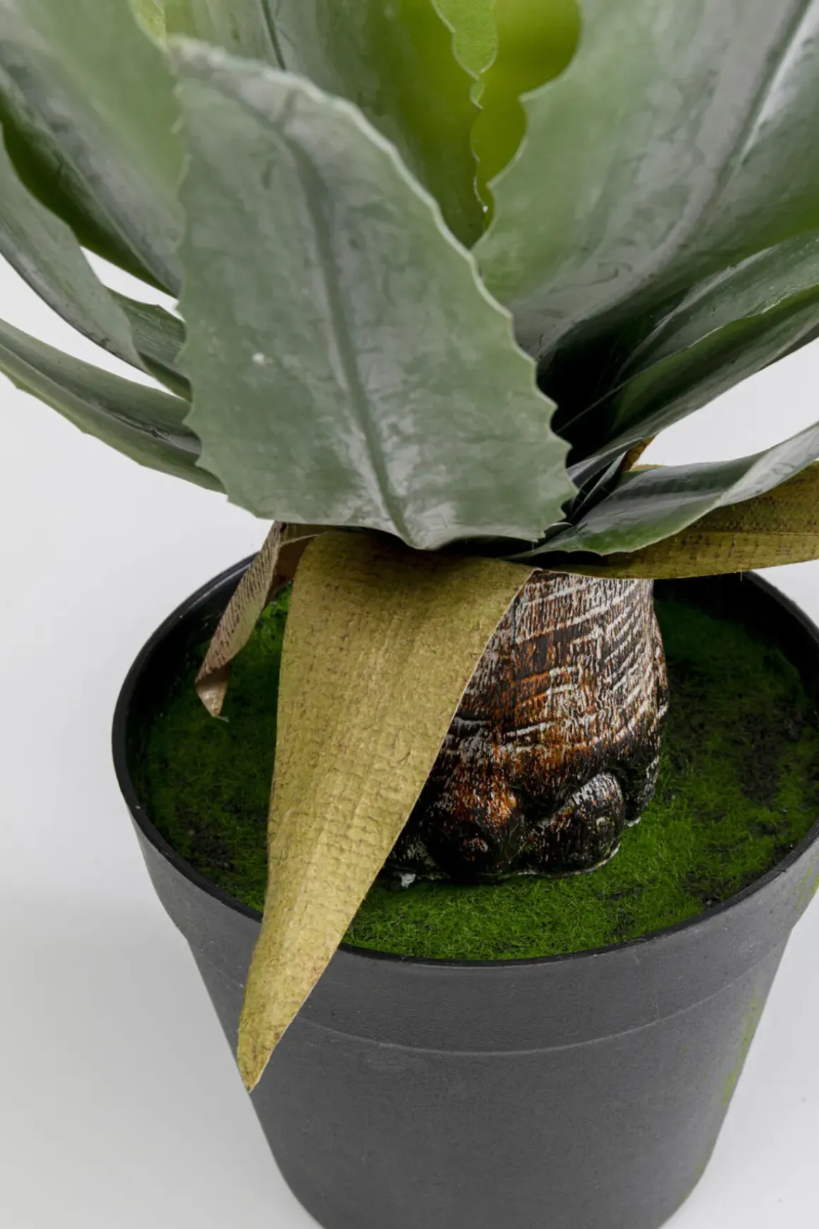 Konstväxt Agave - 40cm - KARE Design
