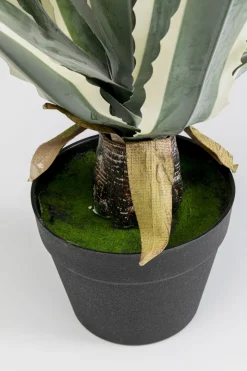 Konstväxt Agave - 50cm - KARE Design