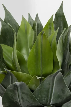 Konstväxt Agave - 120cm - KARE Design