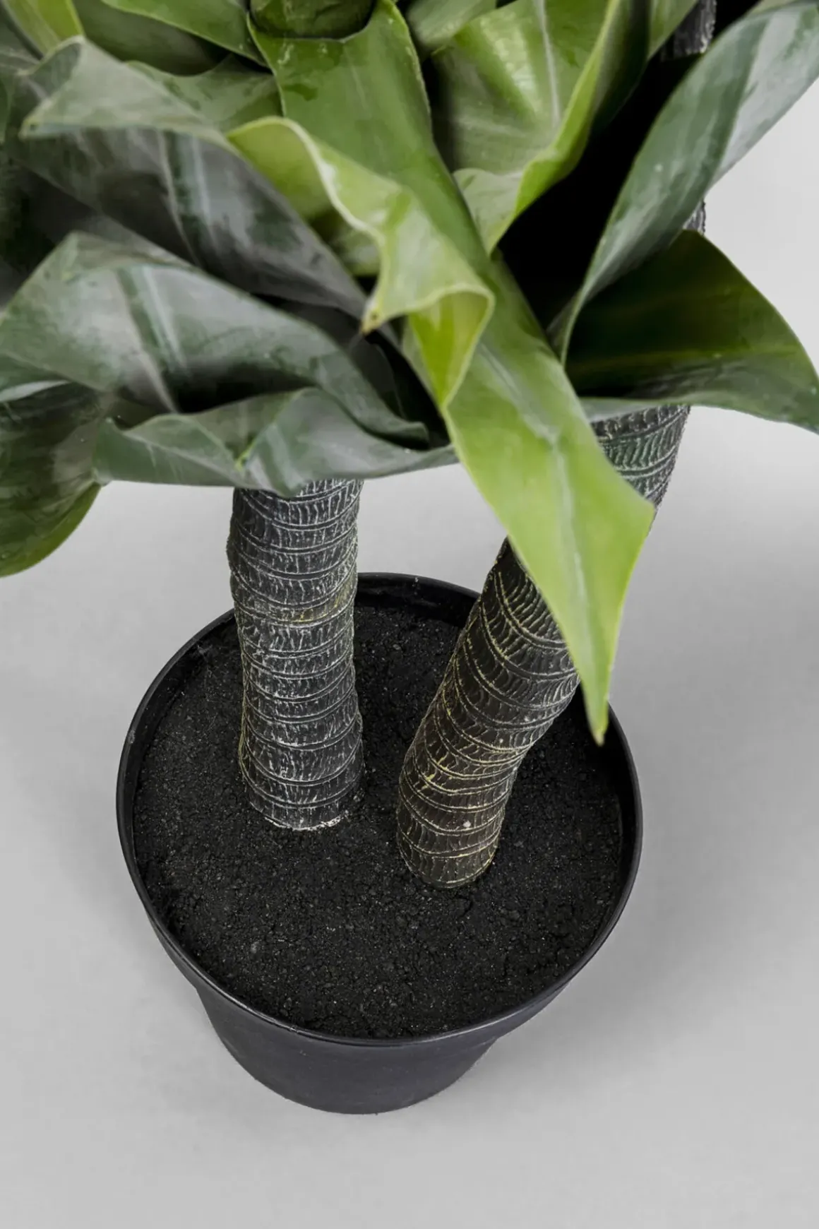 Konstväxt Agave - 120cm - KARE Design