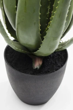 Konstväxt Aloe, 69cm - KARE Design