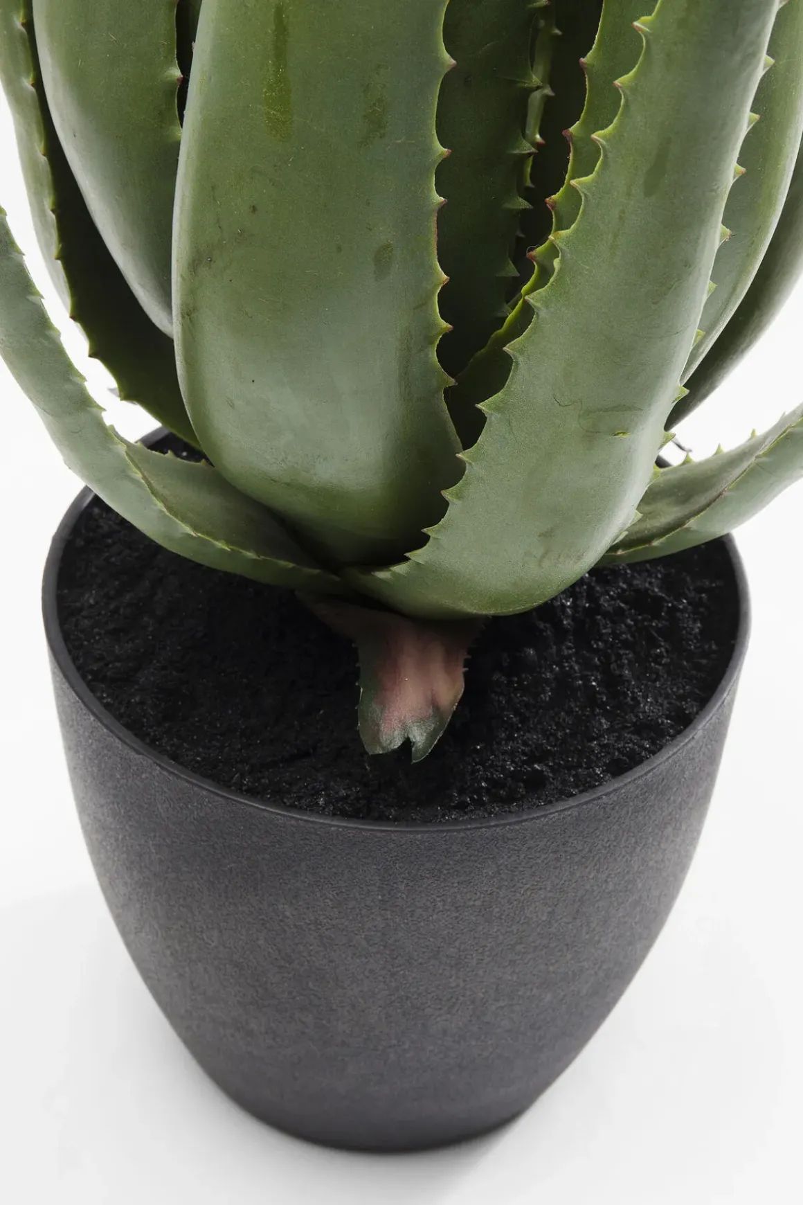 Konstväxt Aloe, 69cm - KARE Design