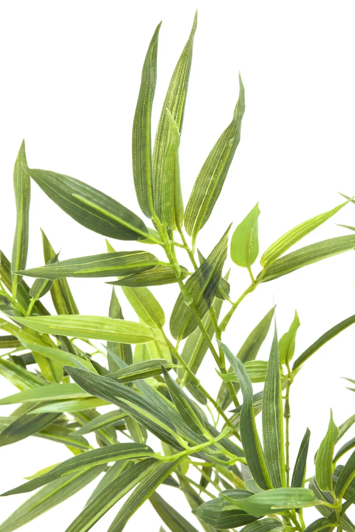 Konstväxt Bamboo Tree - Bambuträd, 200cm - KARE Design