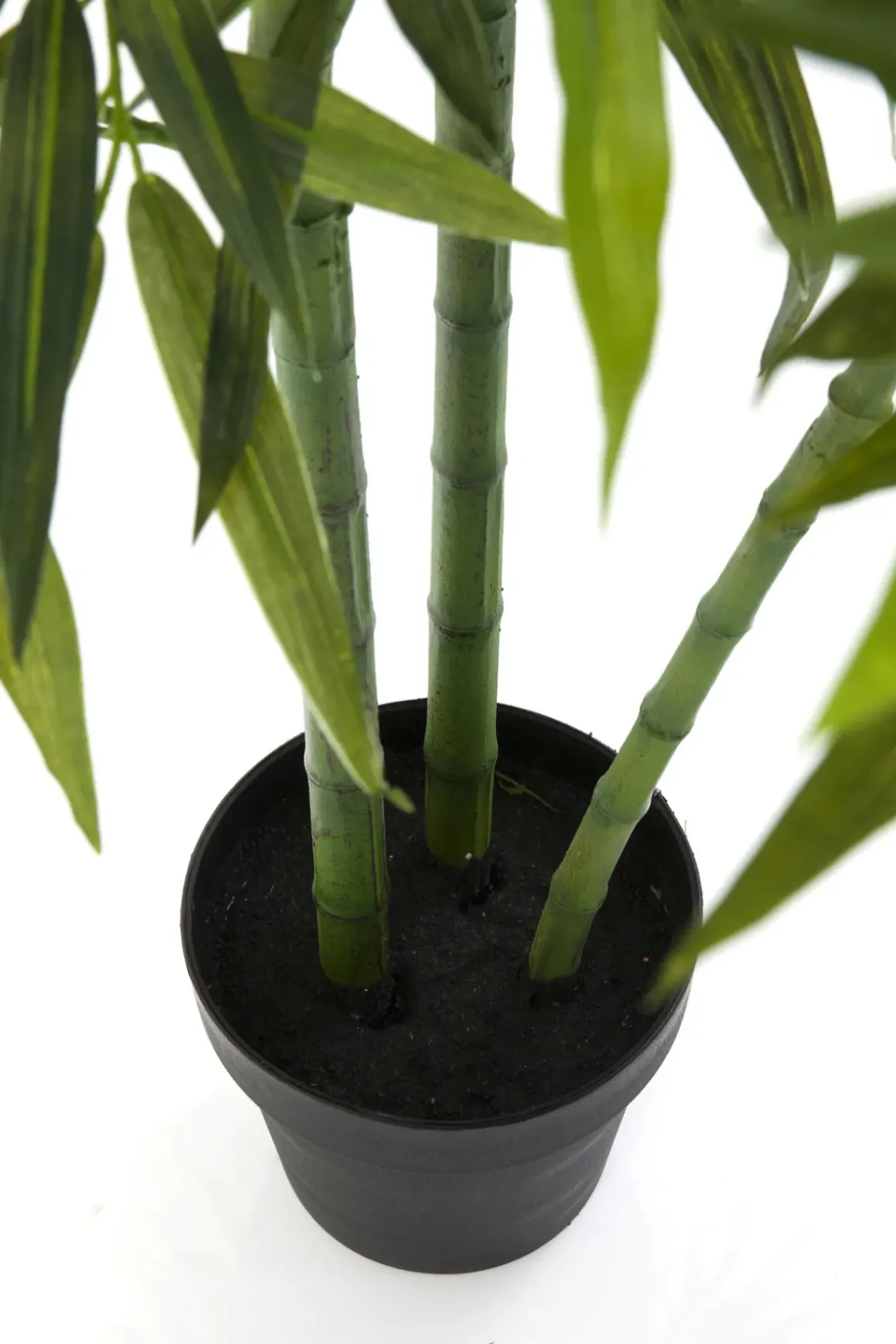 Konstväxt Bamboo Tree - Bambuträd, 200cm - KARE Design