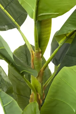 Konstväxt Banana Tree - Bananträd, 180cm - KARE Design