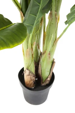 Konstväxt Banana Tree - Bananträd, 180cm - KARE Design
