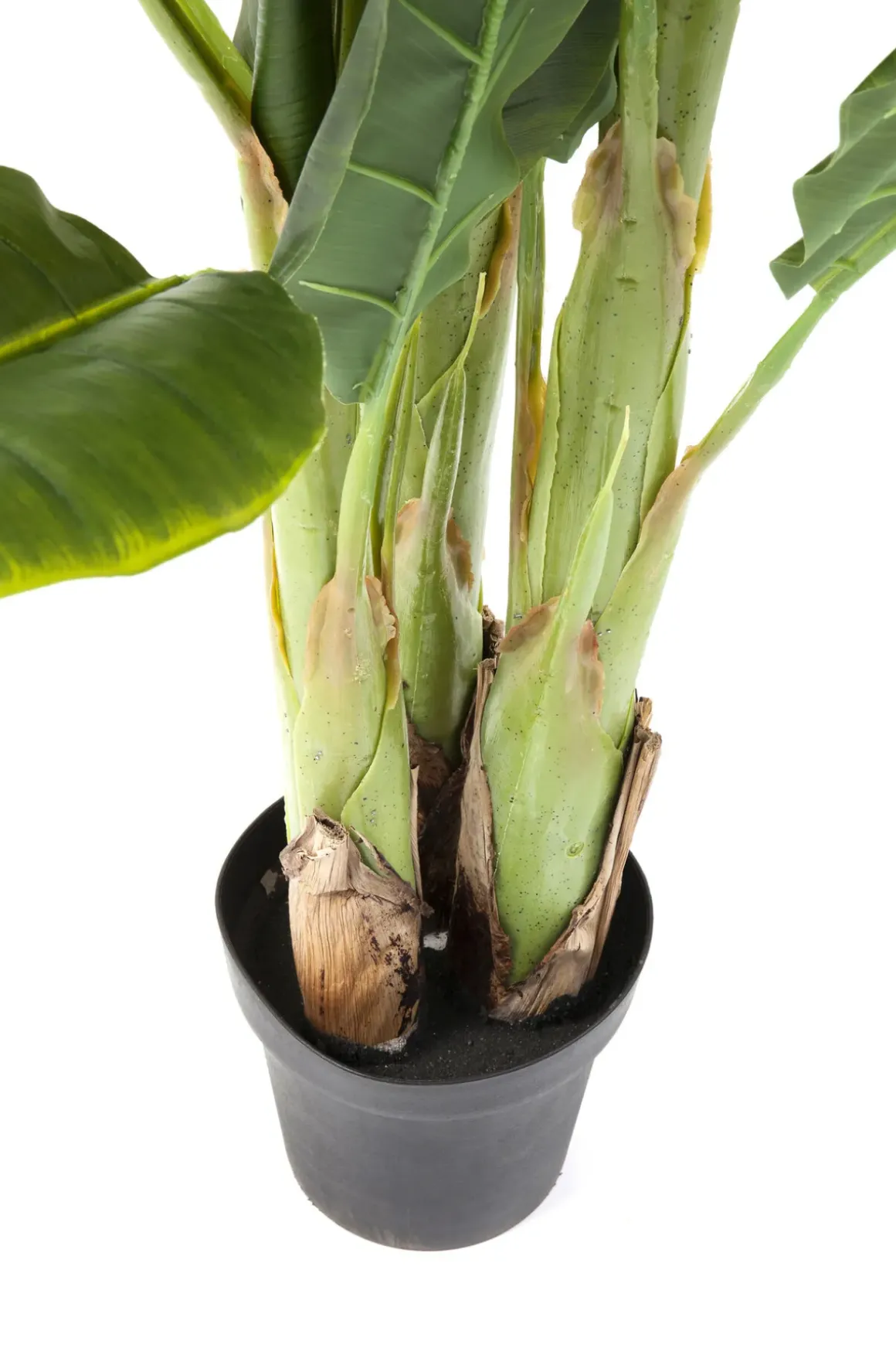 Konstväxt Banana Tree - Bananträd, 180cm - KARE Design