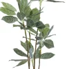 Konstväxt Calathea - Kalatea, 140cm - KARE Design