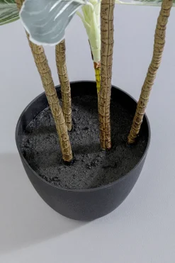 Konstväxt Calathea - Kalatea, 140cm - KARE Design