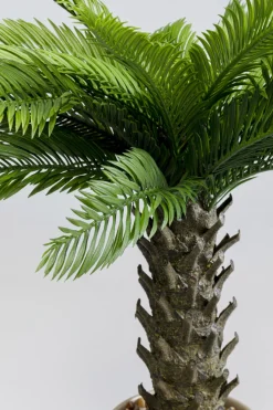Konstväxt Cycas - 70cm - KARE Design