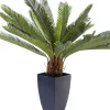 Konstväxt Cycas Träd, 78cm - KARE Design