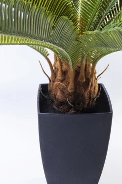 Konstväxt Cycas Träd, 78cm - KARE Design