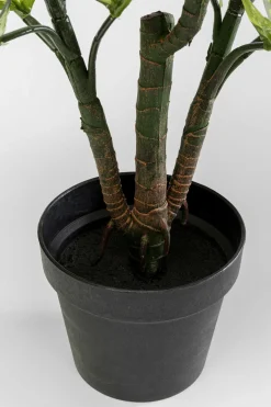 Konstväxt Dieffenbachie - Prickblad, 100cm - KARE Design