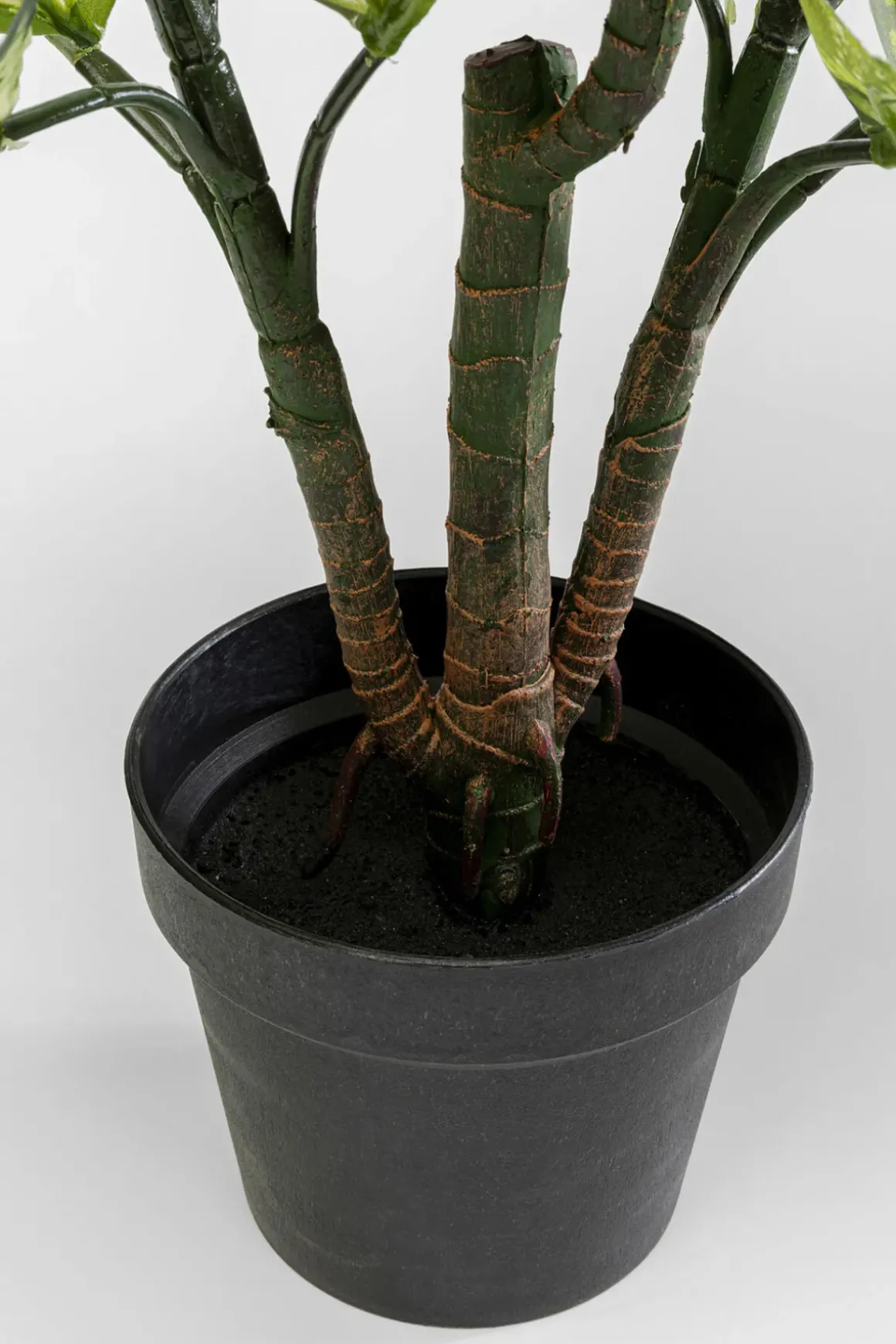 Konstväxt Dieffenbachie - Prickblad, 100cm - KARE Design