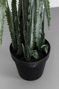 Konstväxt Dragon Tree - 155cm - KARE Design