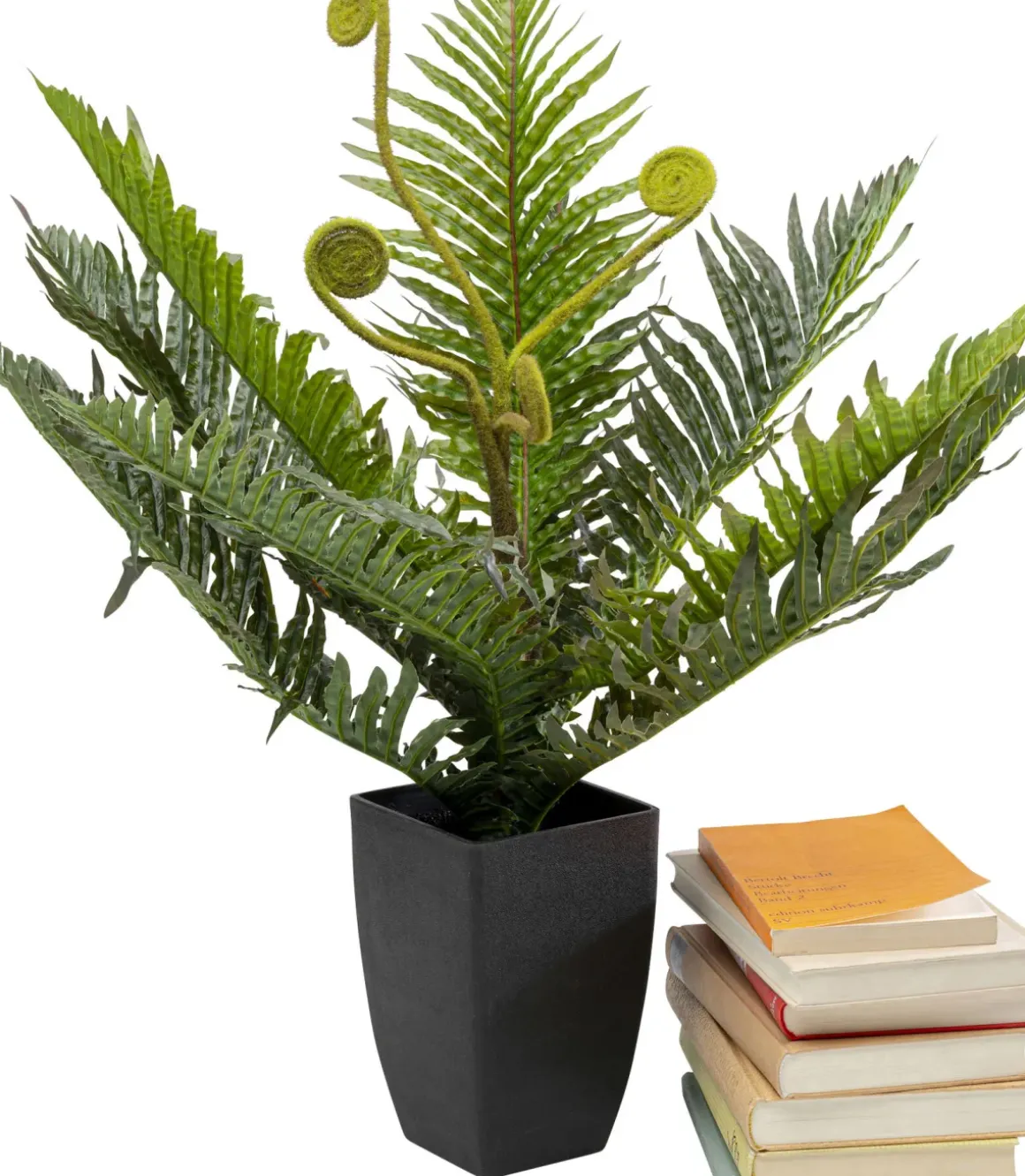 Konstväxt Farn - Ormbunke, 55cm - KARE Design