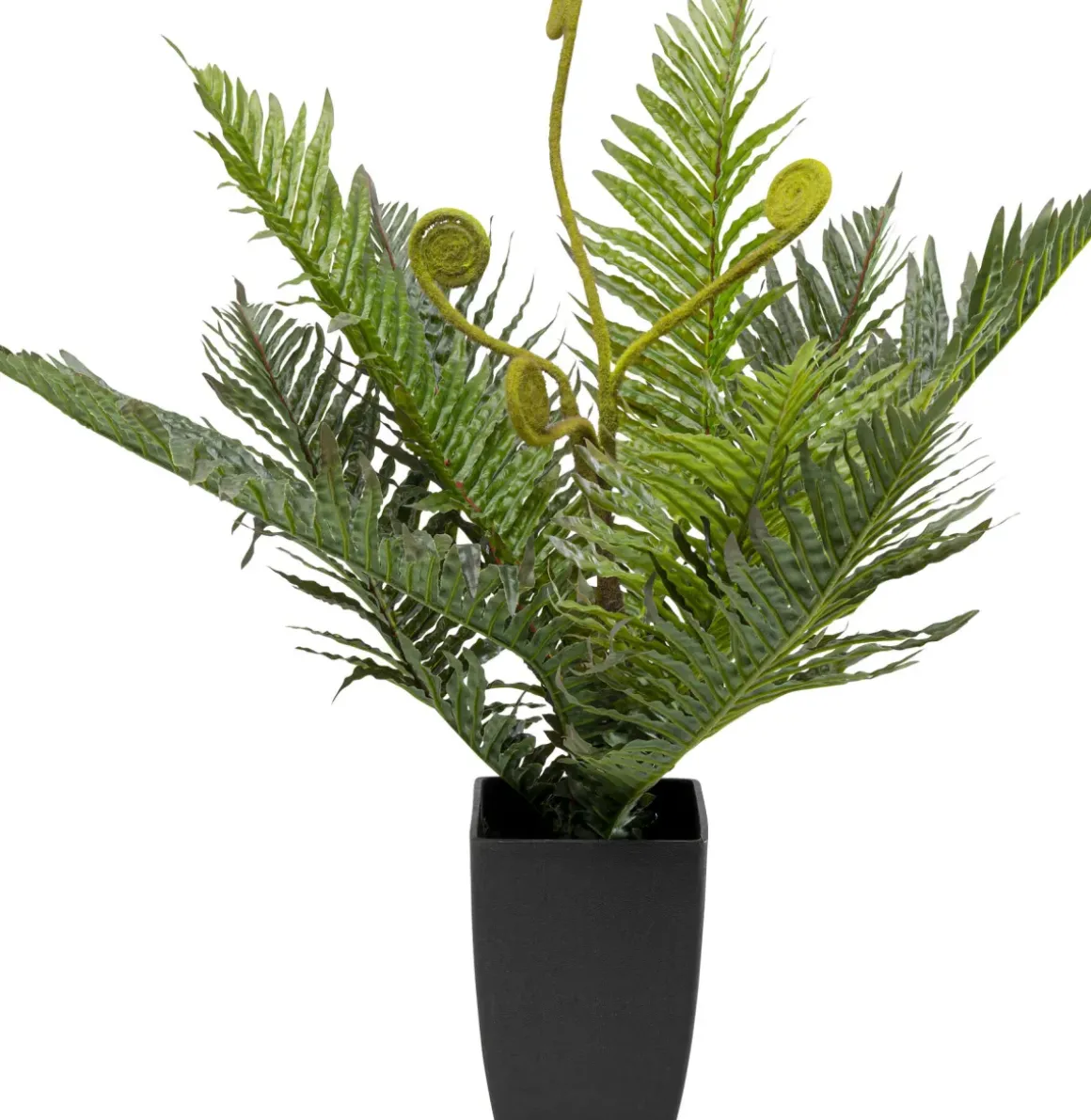 Konstväxt Farn - Ormbunke, 55cm - KARE Design