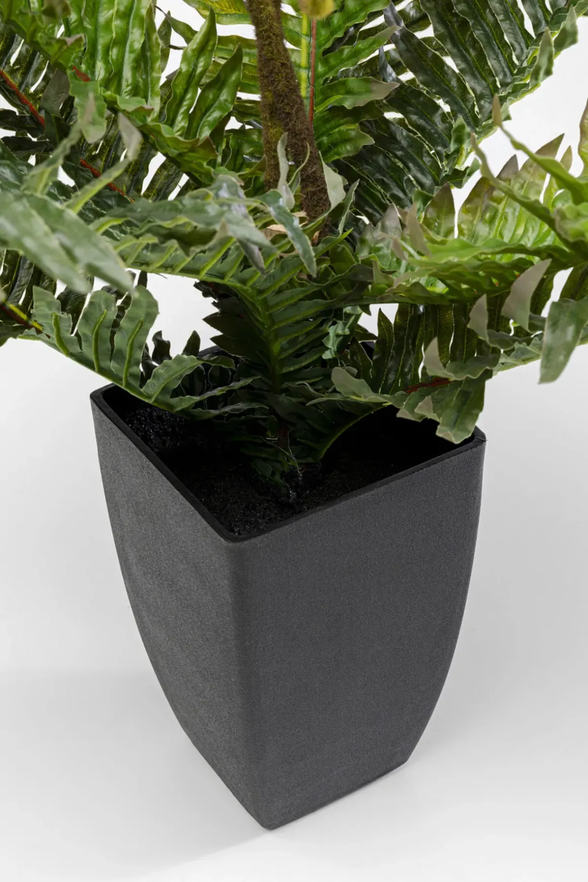Konstväxt Farn - Ormbunke, 55cm - KARE Design