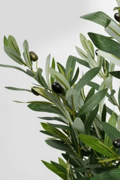 Konstväxt Olive Tree - Olivträd, 150cm - KARE Design