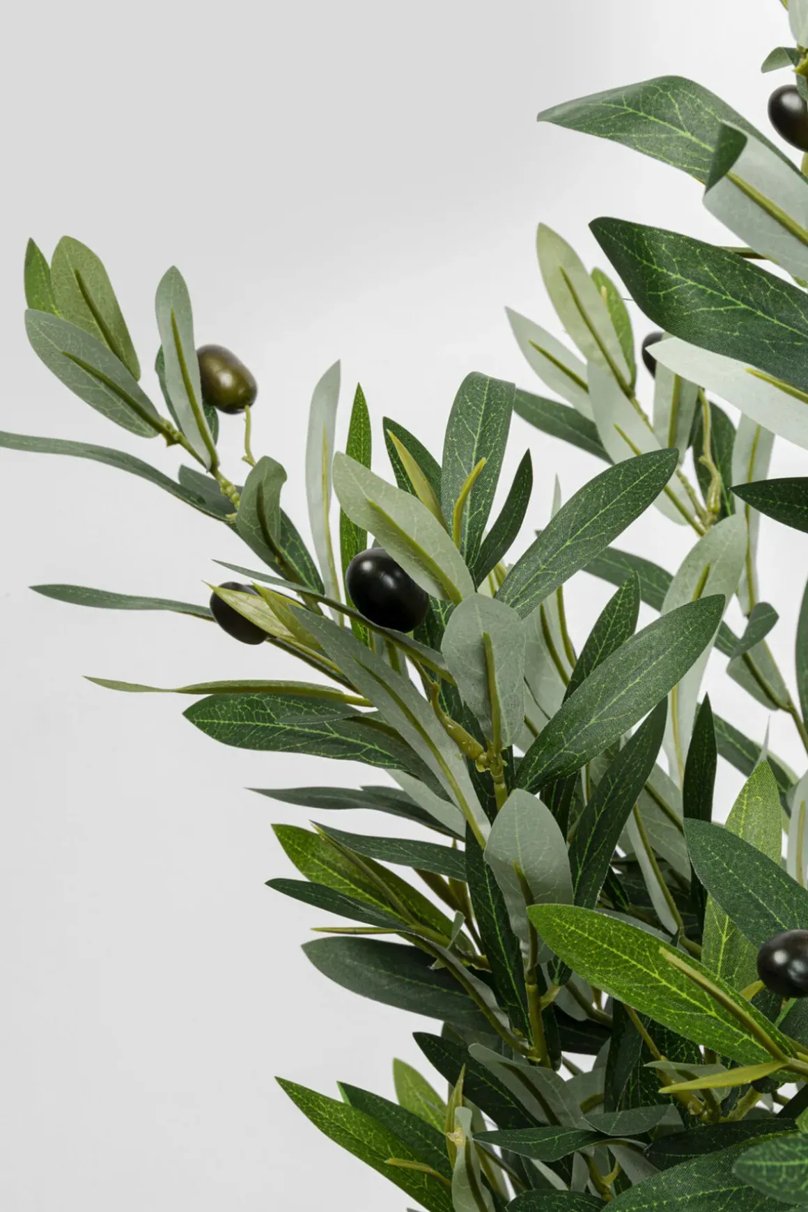 Konstväxt Olive Tree - Olivträd, 150cm - KARE Design