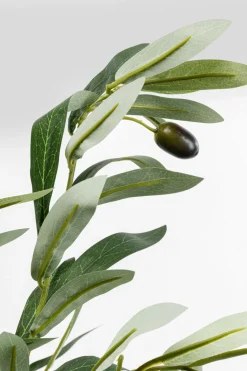 Konstväxt Olive Tree - Olivträd, 150cm - KARE Design