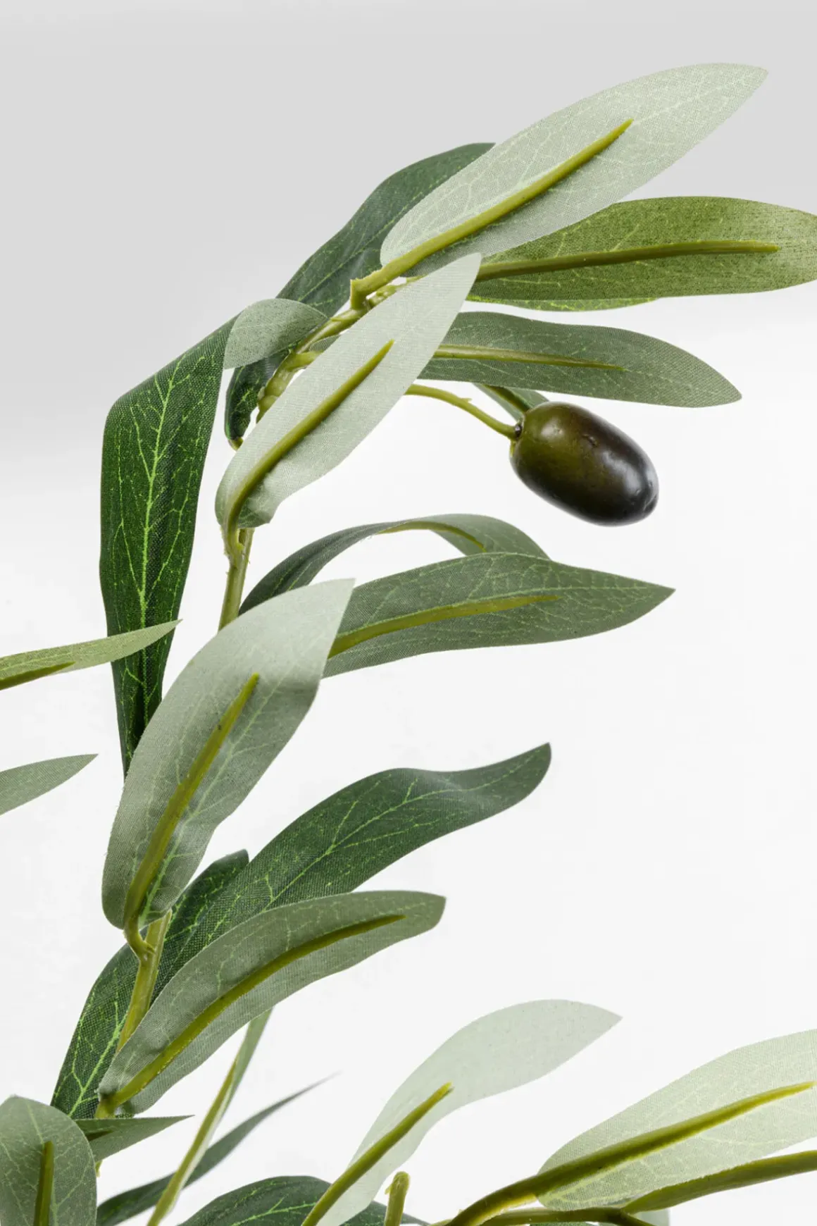 Konstväxt Olive Tree - Olivträd, 150cm - KARE Design