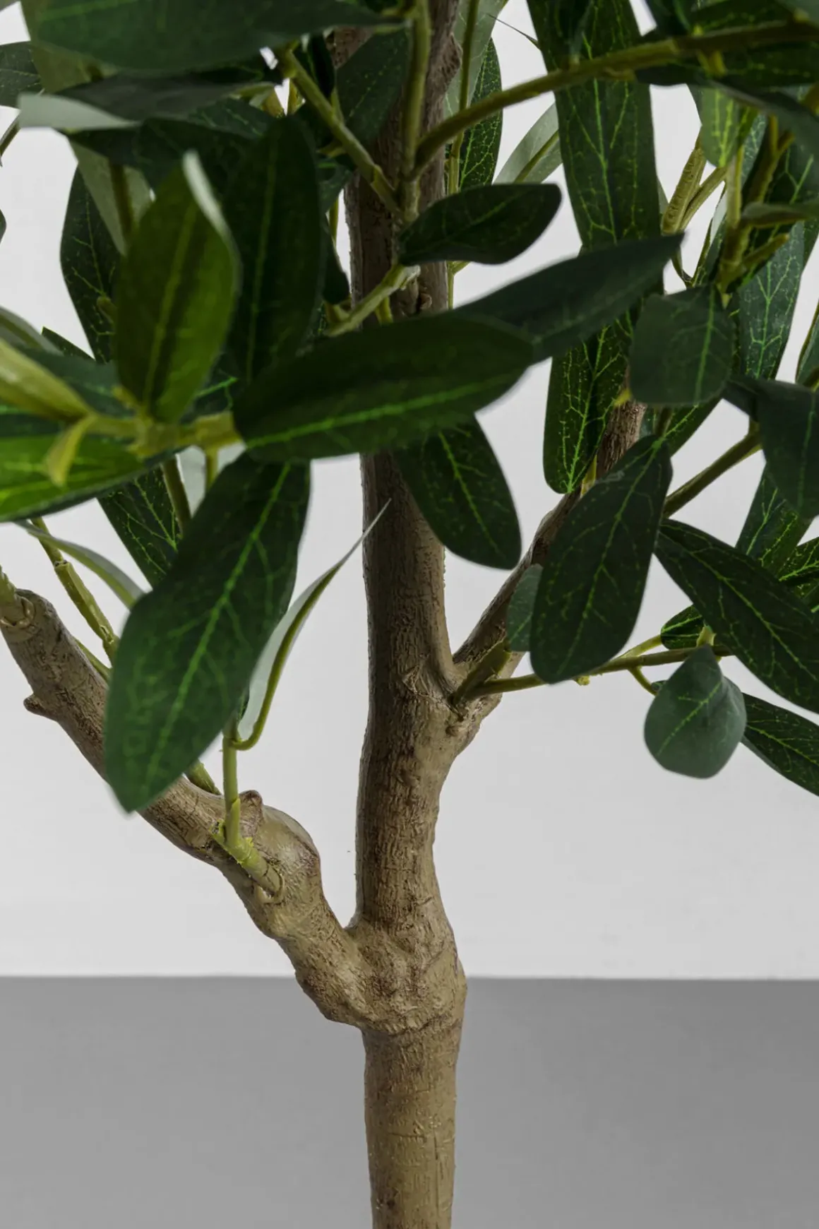 Konstväxt Olive Tree - Olivträd, 150cm - KARE Design